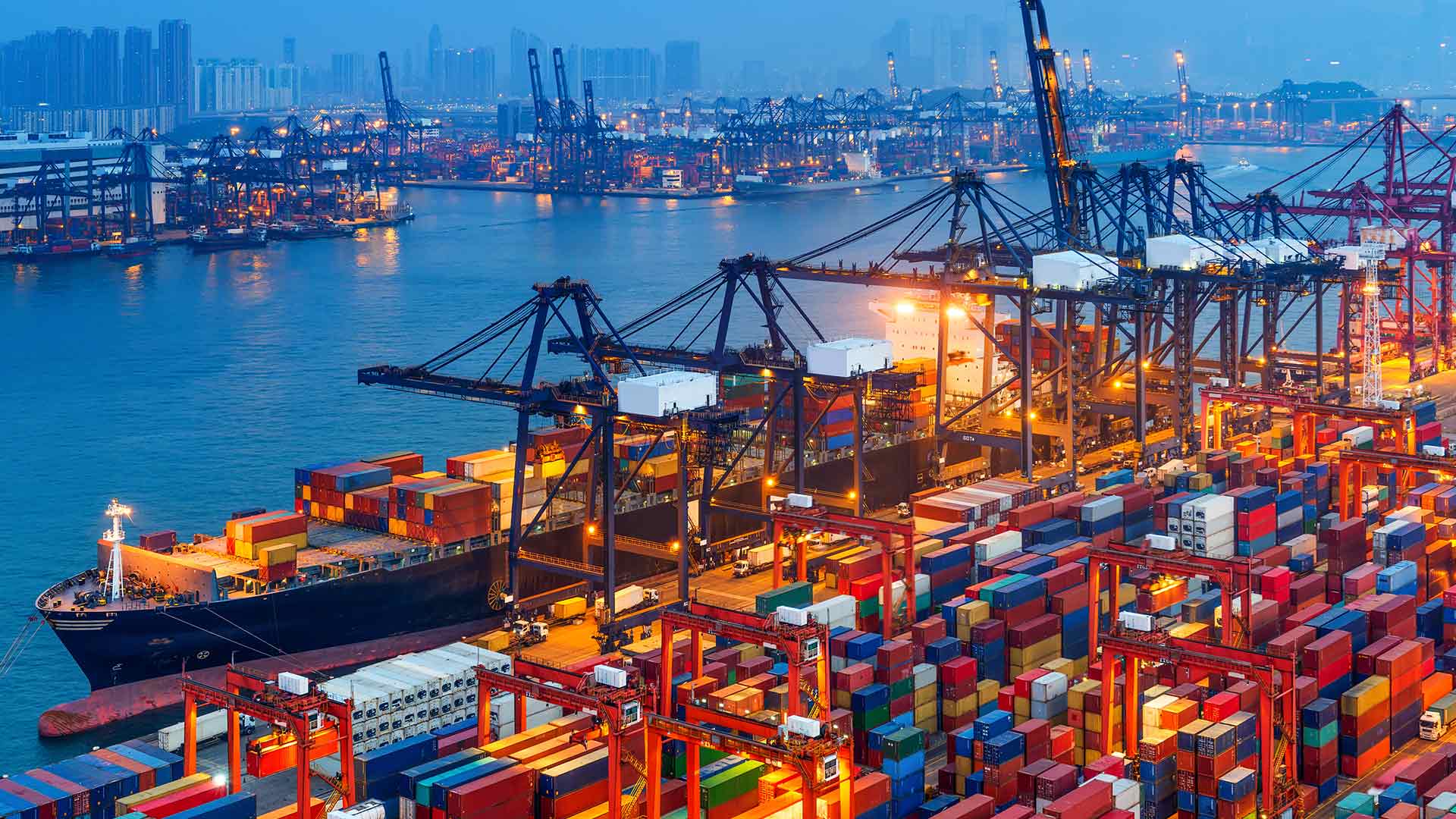 What is Bulk Cargo
