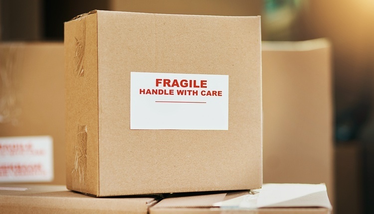Fragile Cargo Packing